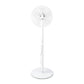 Nedis Stand Fan Diameter 40cm 3-Speed Oscillation 45W LED Display Shut-off timer - FNST16CWT40