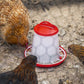 Sealey Poultry Feeder 1.5kg - Pack of 5 AFT025