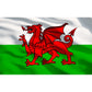 Sealey Wales Graphics 7 Drawer Rollcab Kit AP26479TBWALES