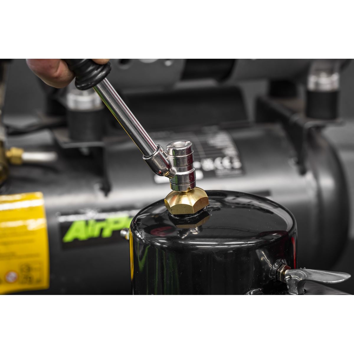 Sealey Black Non-Aerosol Spot Sprayer TP900B