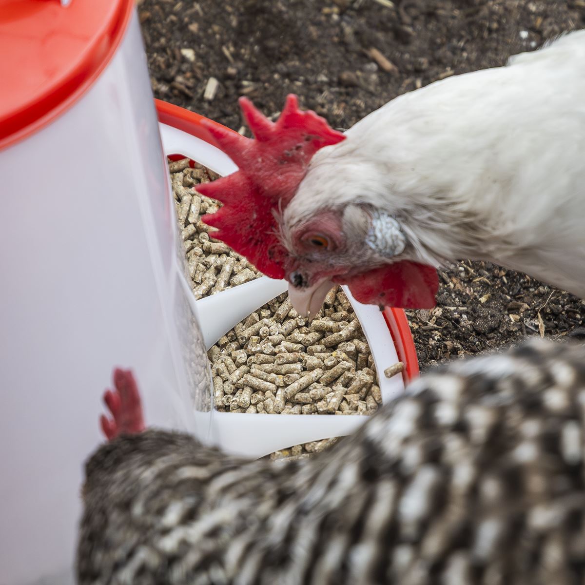 Sealey Poultry Feeder 1.5kg AFT02