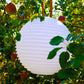 Nikki.Amsterdam The.Ball |Multicolor & Waterproof Ball & Decoration Object