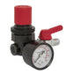 Sealey Air Regulator 1/4"BSP Female - 1/4"BSP Male SA5/RG/14
