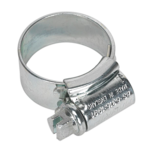 Sealey HI-GRIP Hose Clip Zinc Plated 14-22mm Pack of 30 HCJ0