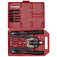 Sealey Rivet & Threaded Nut Rivet Kit AK39602