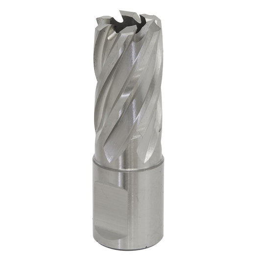 Sealey Rotabor Cutter HSS 18mm - Cut Depth 25mm RBHSS18S