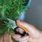 Fiskars Solid Herb Snips/Scissors - Herbal Garden Cutters SP220