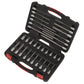 Sealey TRX-Star* Socket Bit Set 32pc 3/8"Sq Drive - Platinum Series AK89001