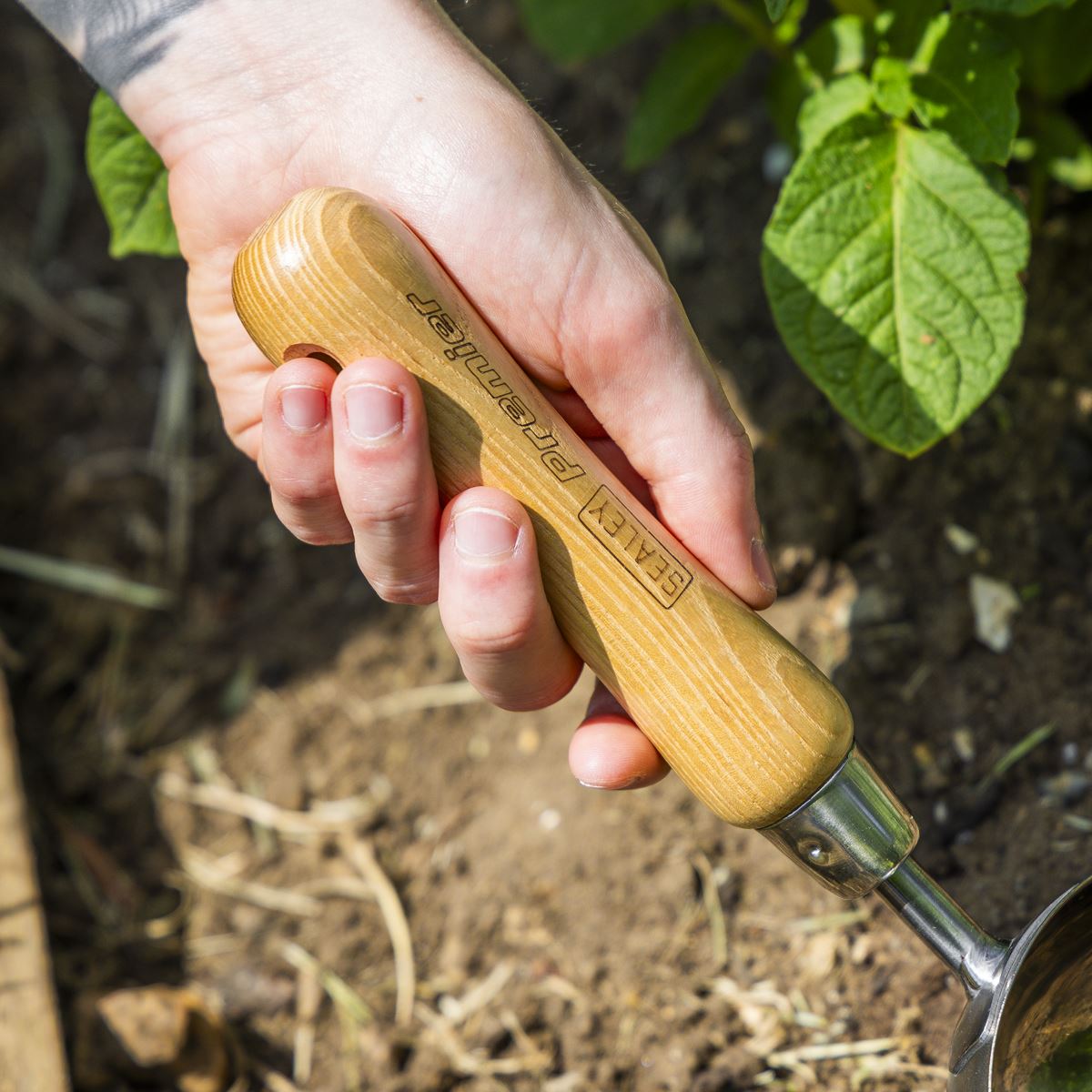 Sealey Premier Garden Scoop with Ash Handle & Stainless Steel Head GTWH006