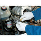 Draper Latex Gloves (Box of 100) GLAT-100L - 63762