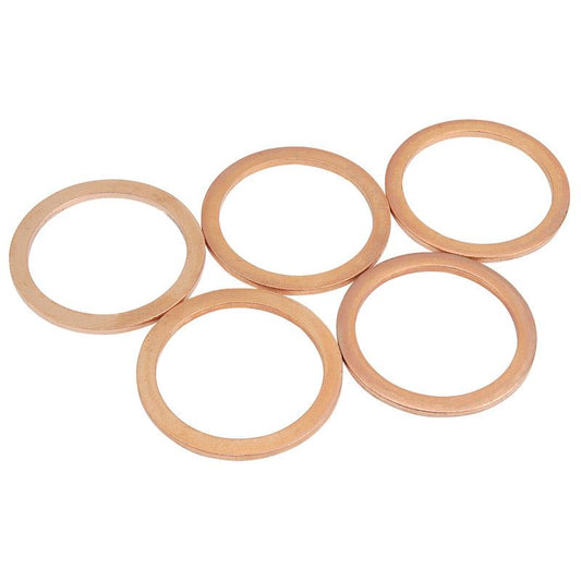 Draper Spare Washer M22 for 24014 SPRK-01 (5542) - 05542