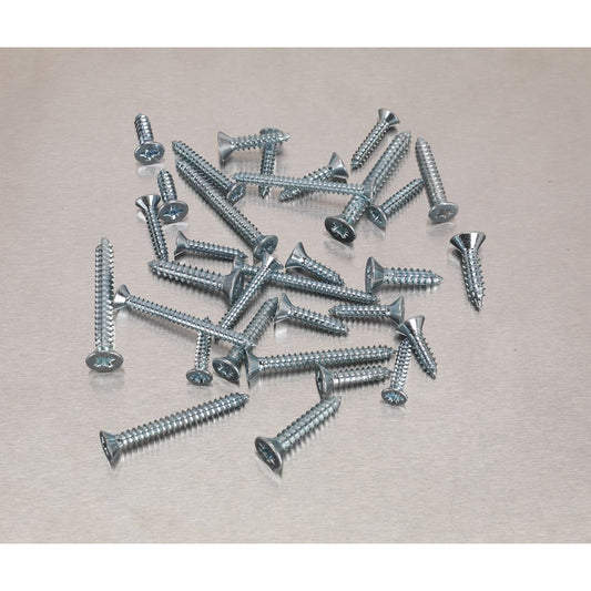 Sealey Self Tapping Screw Asstmt 600pc Countersunk Pozi Zinc AB065STCP