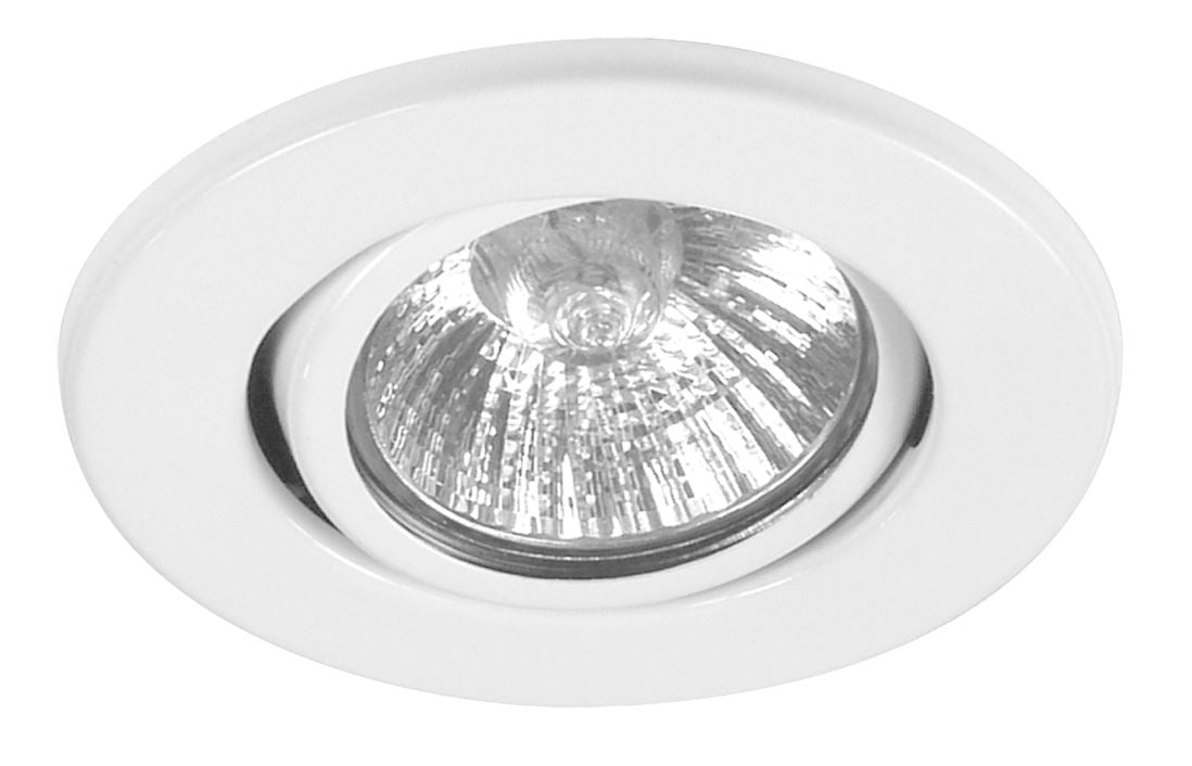 Ranex Downlight directional 50 W stainless steel (TRACKED)
