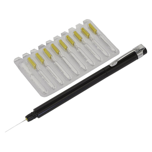 Sealey Paint Dirt Removal Pen with Needle Set MK78