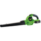 Draper D20 20V Leaf Blower with Battery and Charger PTKD20G/LBS - 70526